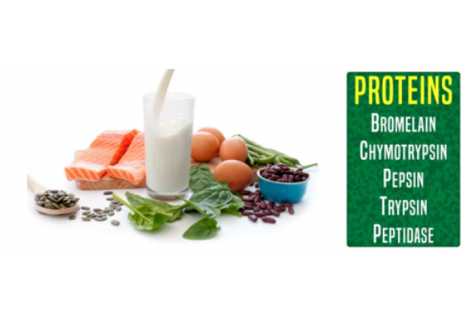 Whey Protein Neden Tek Başına Yeterli Değil?