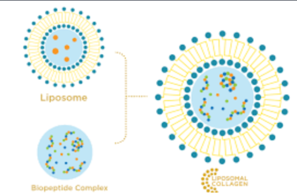 What is Keradiet? A Powerful Keratin Source That Makes a Difference in Hair Health