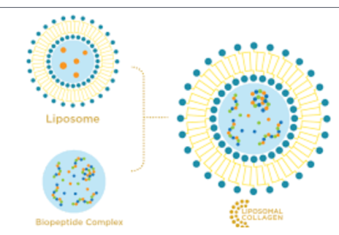 What is Keradiet? A Powerful Keratin Source That Makes a Difference in Hair Health