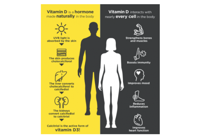 Vitamin D3: Sağlığınız İçin Vazgeçilmez Güç Kaynağı