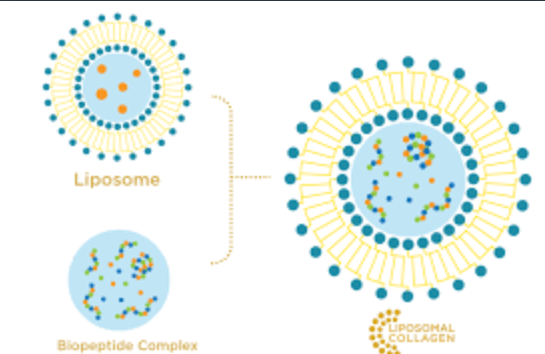 What is Keradiet? A Powerful Keratin Source That Makes a Difference in Hair Health